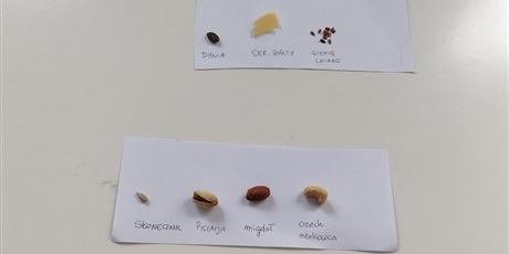 Powiększ grafikę: chemia-w-praktyce-nauka-przez-doswiadczenie-613720.jpg