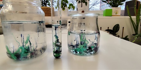 Powiększ grafikę: chemiczny-ogrod-w-klasach-osmych-665017.jpg