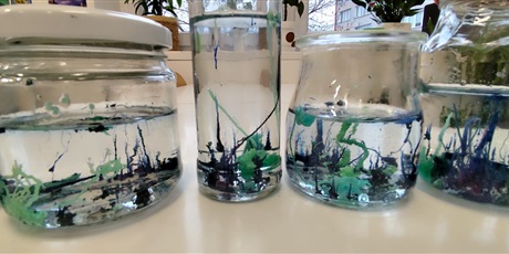 Powiększ grafikę: chemiczny-ogrod-w-klasach-osmych-665018.jpg