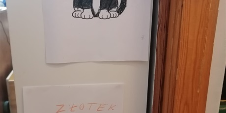 Powiększ grafikę: dzien-kota-676989.jpg