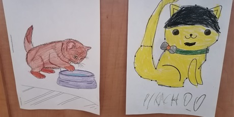 Powiększ grafikę: dzien-kota-676992.jpg