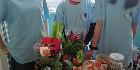 Powiększ grafikę: dzien-tumbo-657375.jpg