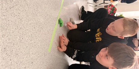 Powiększ grafikę: lekcja-biologii-w-6a-681207.jpg