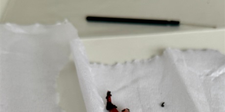 Lekcja  z żywymi dżdżownicami w roli głównej!