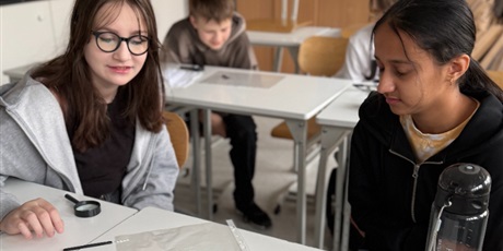 Powiększ grafikę: lekcja-z-zywymi-dzdzownicami-w-roli-glownej-652507.jpg