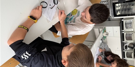 Powiększ grafikę: lekcja-z-zywymi-dzdzownicami-w-roli-glownej-652510.jpg