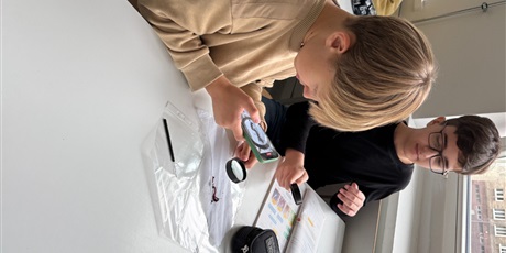 Powiększ grafikę: lekcja-z-zywymi-dzdzownicami-w-roli-glownej-652512.jpg