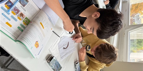 Powiększ grafikę: lekcja-z-zywymi-dzdzownicami-w-roli-glownej-652513.jpg