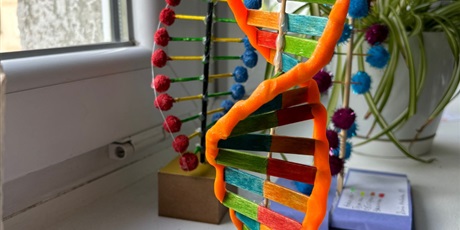 Modele DNA