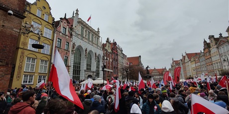 Powiększ grafikę: parada-niepodleglosci-654842.jpg