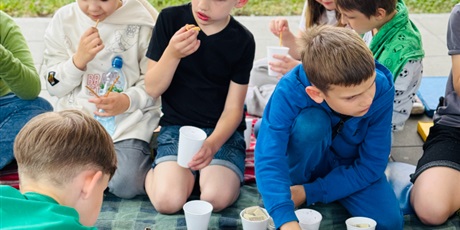 Powiększ grafikę: piknik-z-okazji-dnia-dziecka-623079.jpg