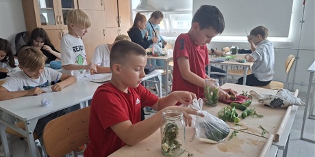 Powiększ grafikę: przetwory-z-sezonowych-owocow-i-warzyw-648254.jpg