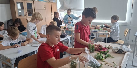 Powiększ grafikę: przetwory-z-sezonowych-owocow-i-warzyw-648256.jpg