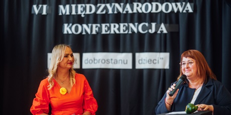 Powiększ grafikę: vi-miedzynarodowa-konferencja-564161.jpg