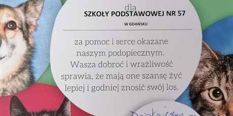 Powiększ grafikę: wizyta-w-schronisku-promyk-393586.jpg