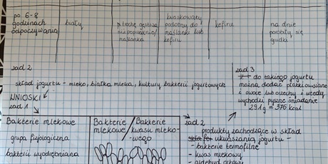 Powiększ grafikę: zbadaj-to-265633.jpg