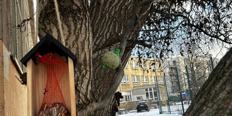 Powiększ grafikę: zimowa-pomoc-670164.jpg